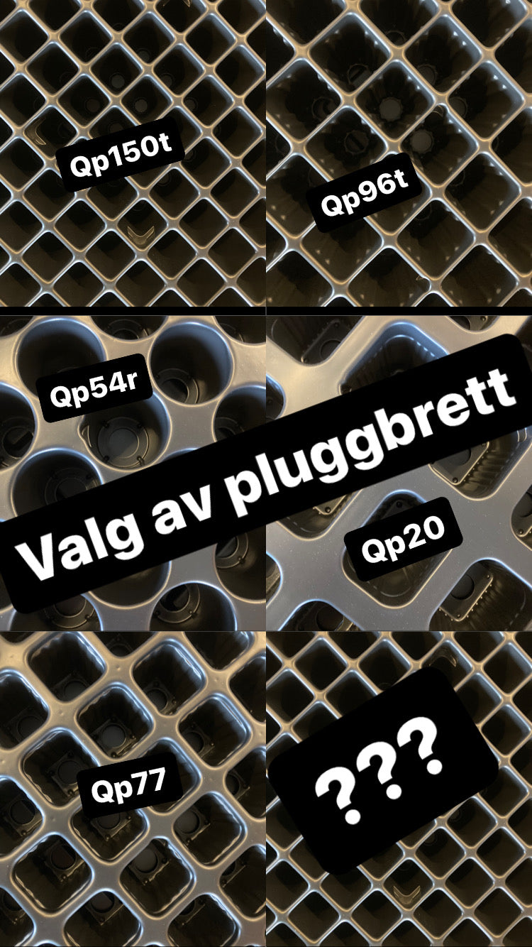 Quickpot: STANDARD-DANISH