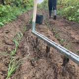 purreplanting med multidibbler