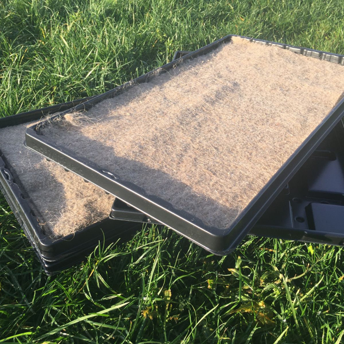 Microgreen pakke