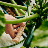 Growers&co høstekniv