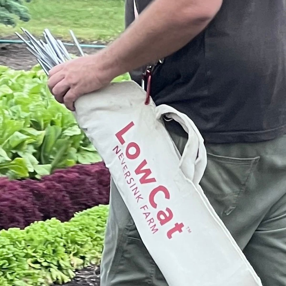 lowcat tunnel kit