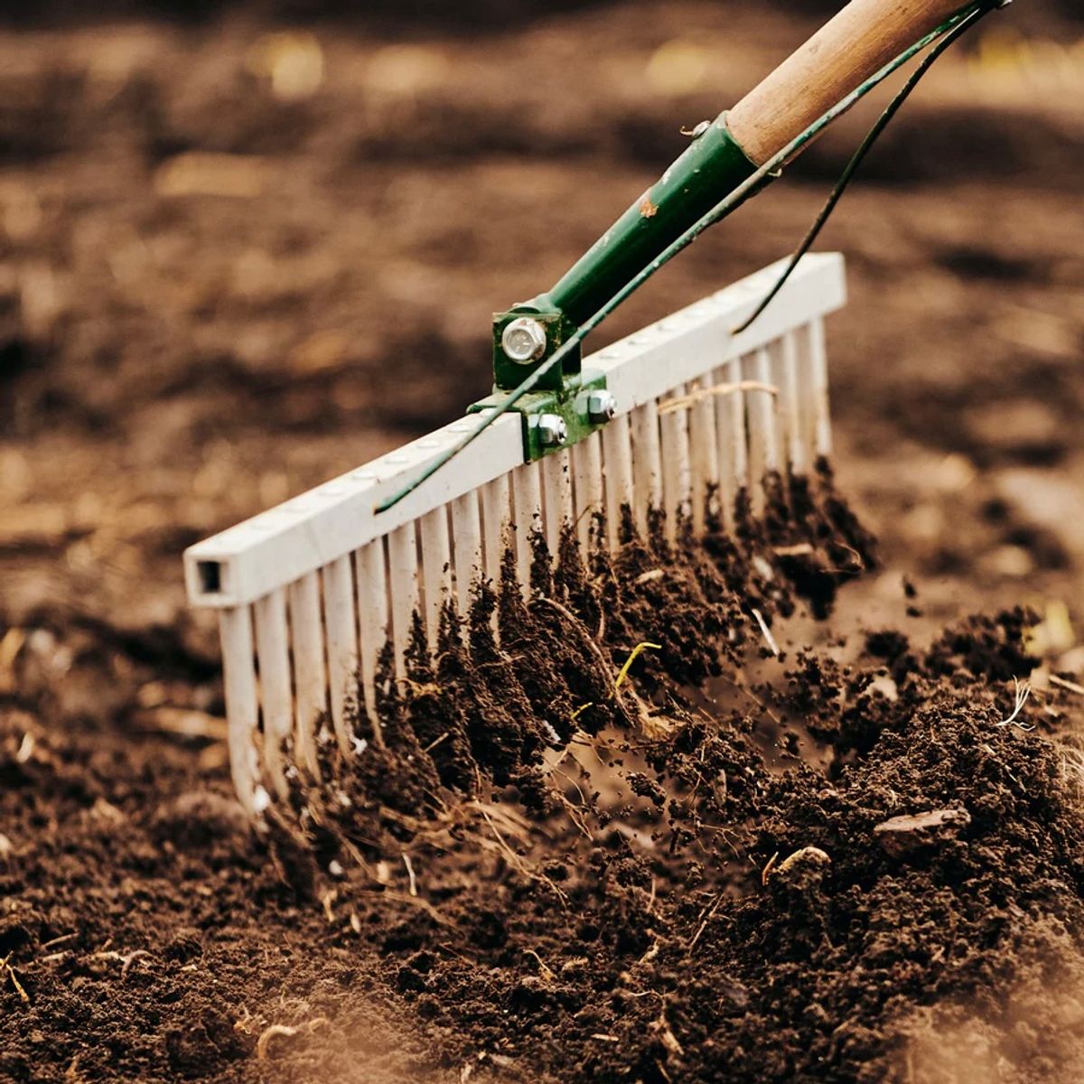 Growers&co såbed rake