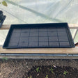 Meshtray 10/20
