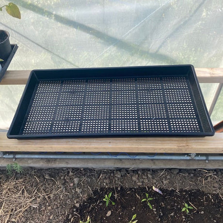 Meshtray 10/20